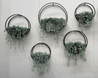 Circle Wall planter Brown Small